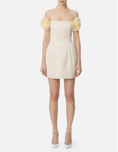 robe duchesse elisabetta franchi nice france boutique french riviera