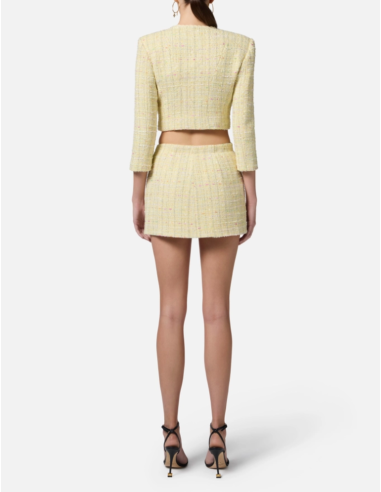 jupe elisabetta franchi nice