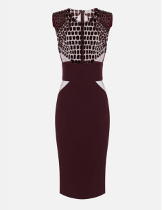 robe fourreau elisabetta franchi nice