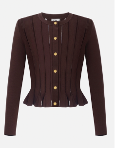 ELISABETTA FRANCHI Gilet en Maille Marron  - MK07S