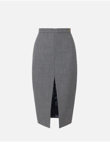 Elisabetta Franchi grey skirt with invisible zip