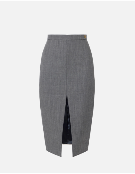 Elisabetta Franchi grey skirt with invisible zip