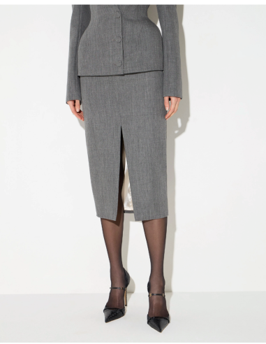Elisabetta Franchi grey midi skirt with logo plaque