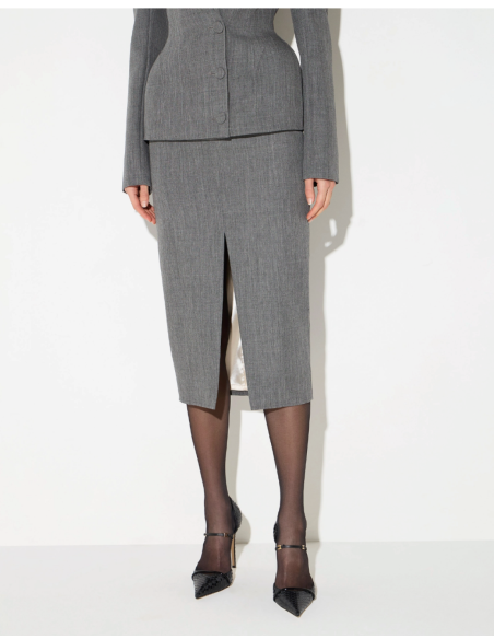 Elisabetta Franchi grey midi skirt with logo plaque