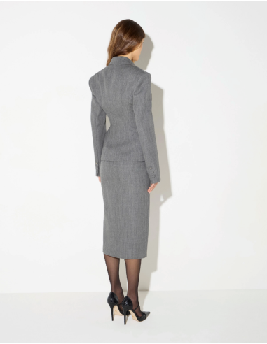 Elisabetta Franchi grey wool skirt for women