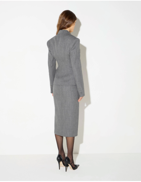 Elisabetta Franchi grey wool skirt for women