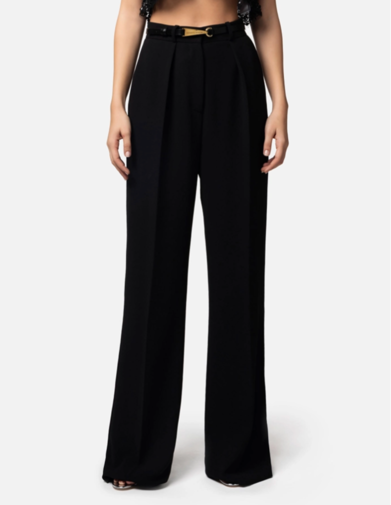 pantalon à pinces elisabetta franchi promotion